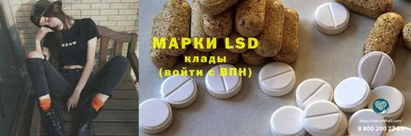 хмурый Аркадак