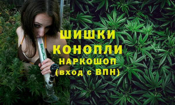 меф Арсеньев