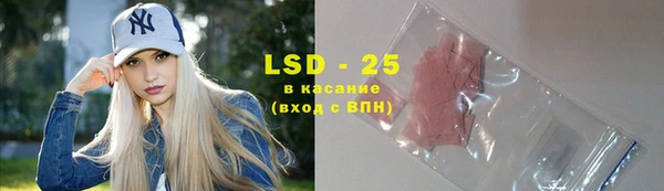 хмурый Аркадак