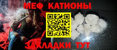прущие грибы Ставрополь