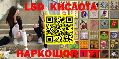 прущие грибы Ставрополь