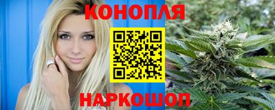 прущие грибы Ставрополь