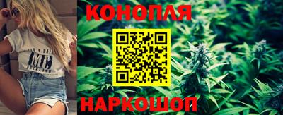 прущие грибы Ставрополь