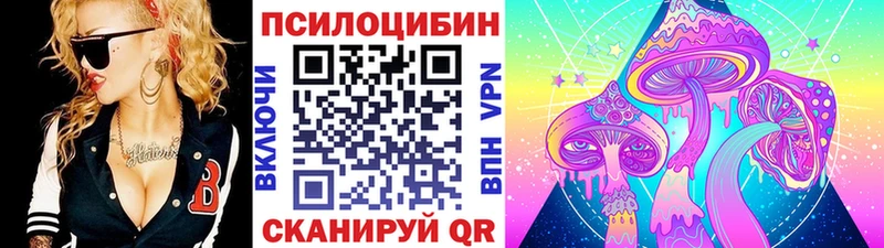 дарнет шоп  Рубцовск  blacksprut ONION  Псилоцибиновые грибы мухоморы 